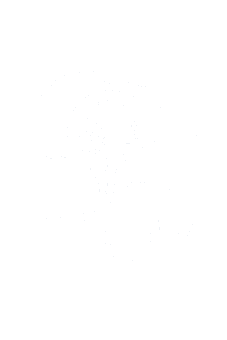 Ongozy Logo